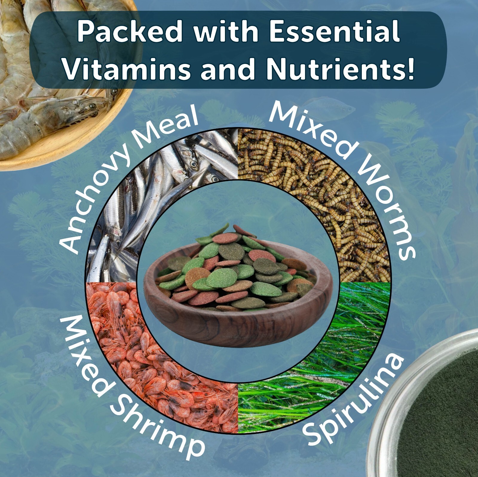 4-Type Wafer Mix of Spirulina, Worm, Shrimp, Color Wafers. FREE Pellets & Wafers