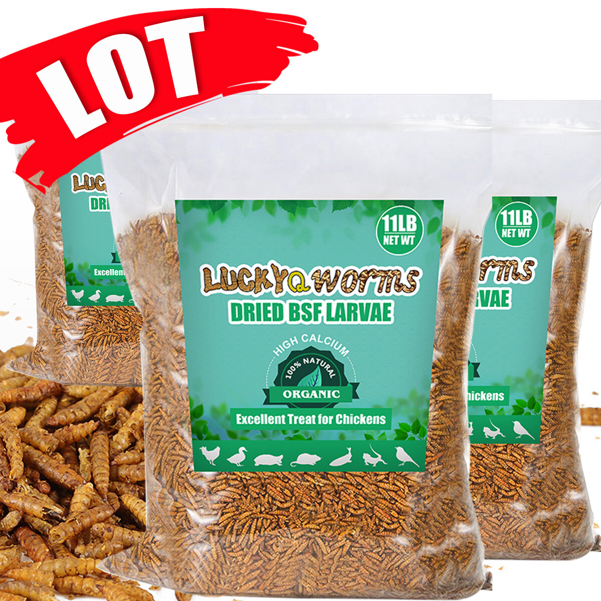 Bulk Dried BSF Mealworms for Wild Birds Food Chickens Hen Fish Treats Food Lot