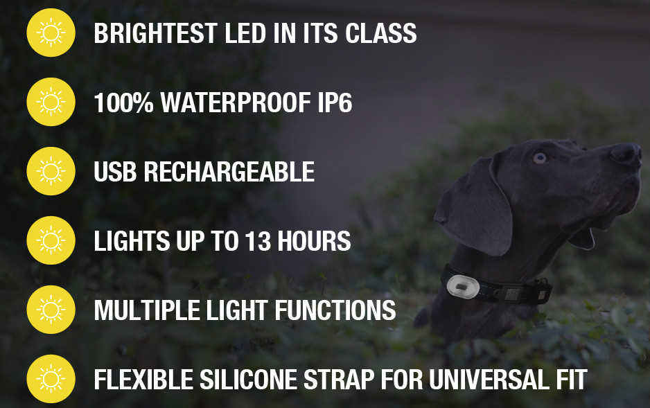 Max & Molly Matrix Ultra LED Safety Light Attaches to Any Dog Pet Collar Harness