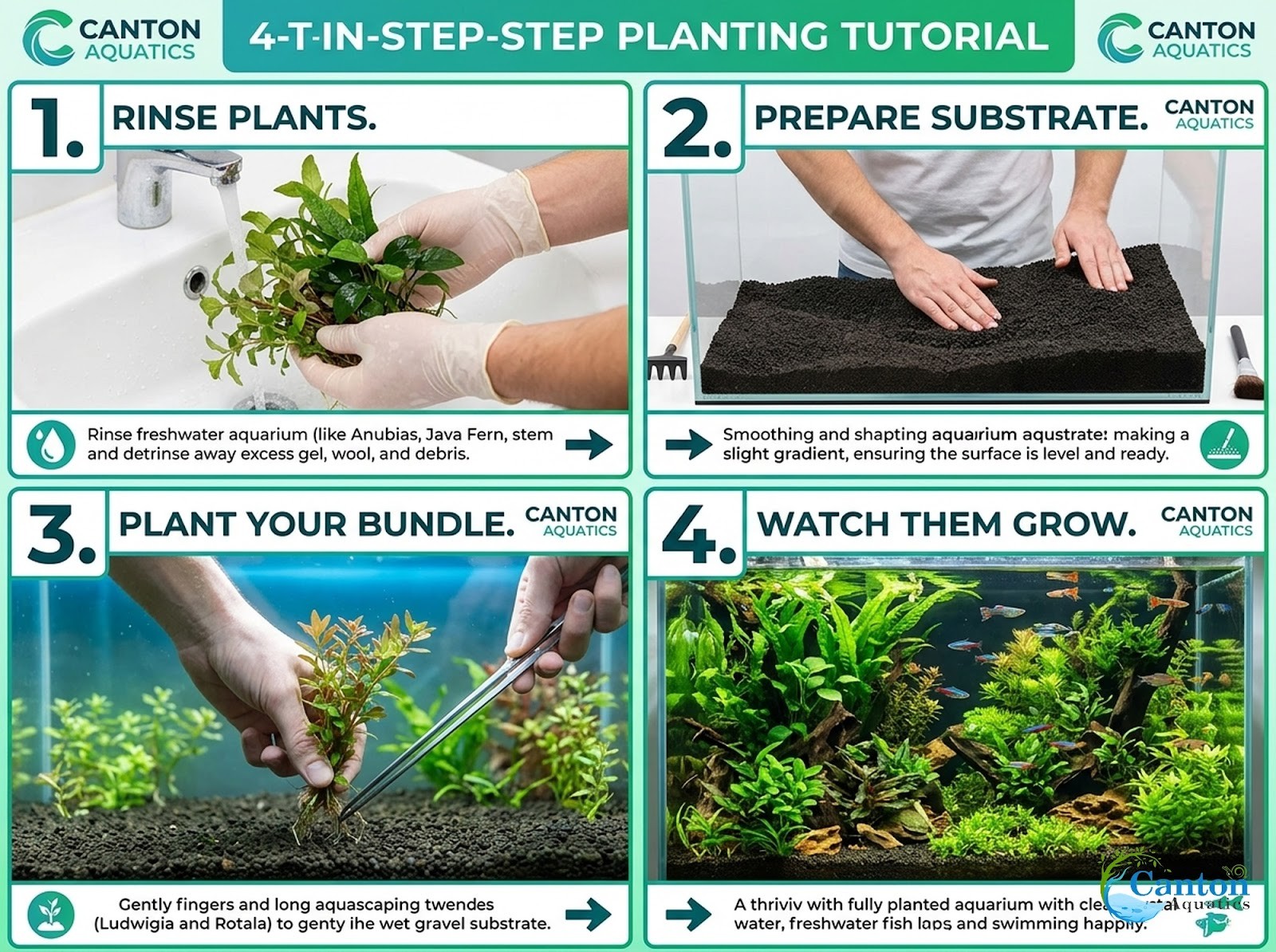 Beginner 10 Aquarium Live Plants Bundle Pack (10 Plants)