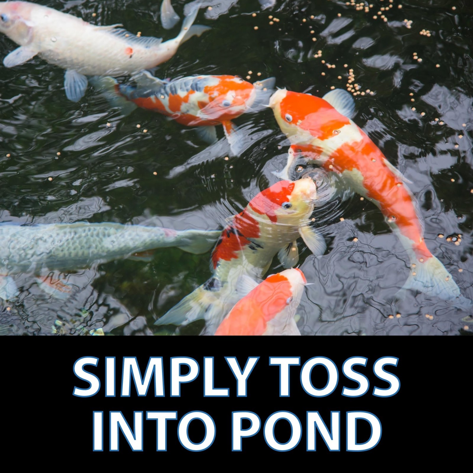 CrystalClear Staple Pond Fish Food for Healthy Koi & Goldfish, Protein Packed Fl