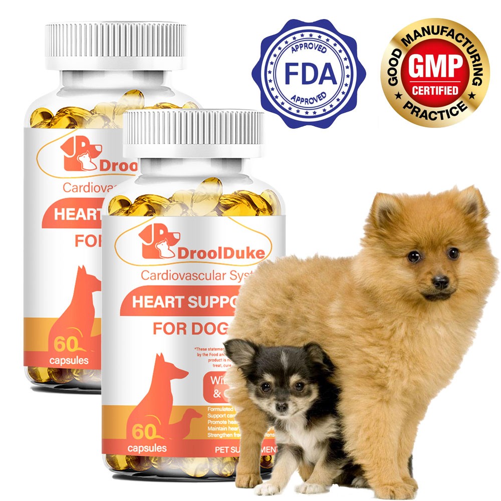 Dog-specific heart supplement slows myocardial degeneration reduces inflammation