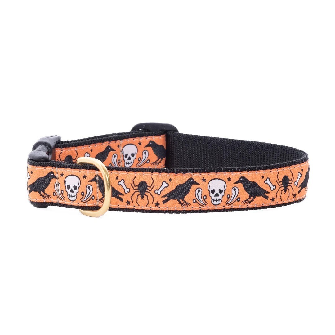Up Country Dog Collar, Nevermore, Adjustable, Made In USA, XS S M L XL XXL