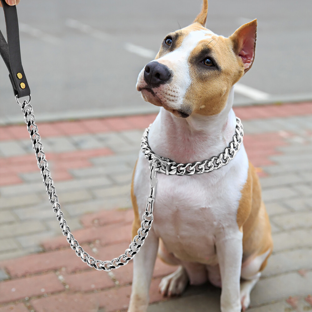 Dog Chain Collar & Leash Cuban Link Heavy Duty Stainless Steel Gold Silver 55cm