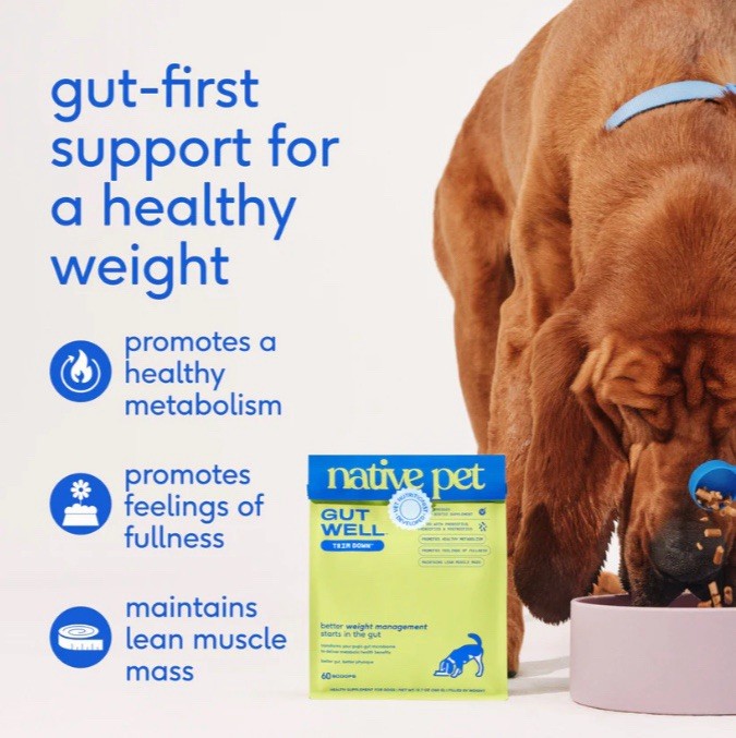 Native Pet Trim Down Dog Supplement 60 Scoops 12.7oz Weight Mgmt EXP 02/2027 NEW