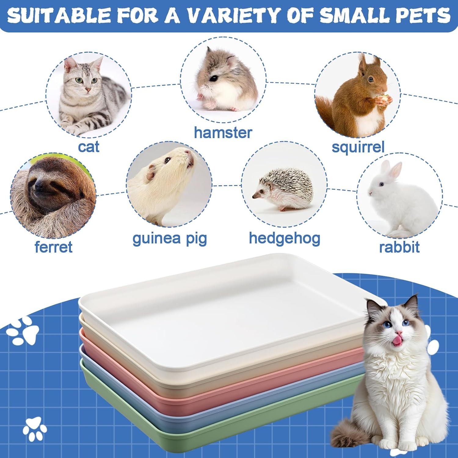 5 Pcs Medium Open Cat Litter Box,15 x 10.4 x 1.6 Inch Plastic Kitten Litter Pan