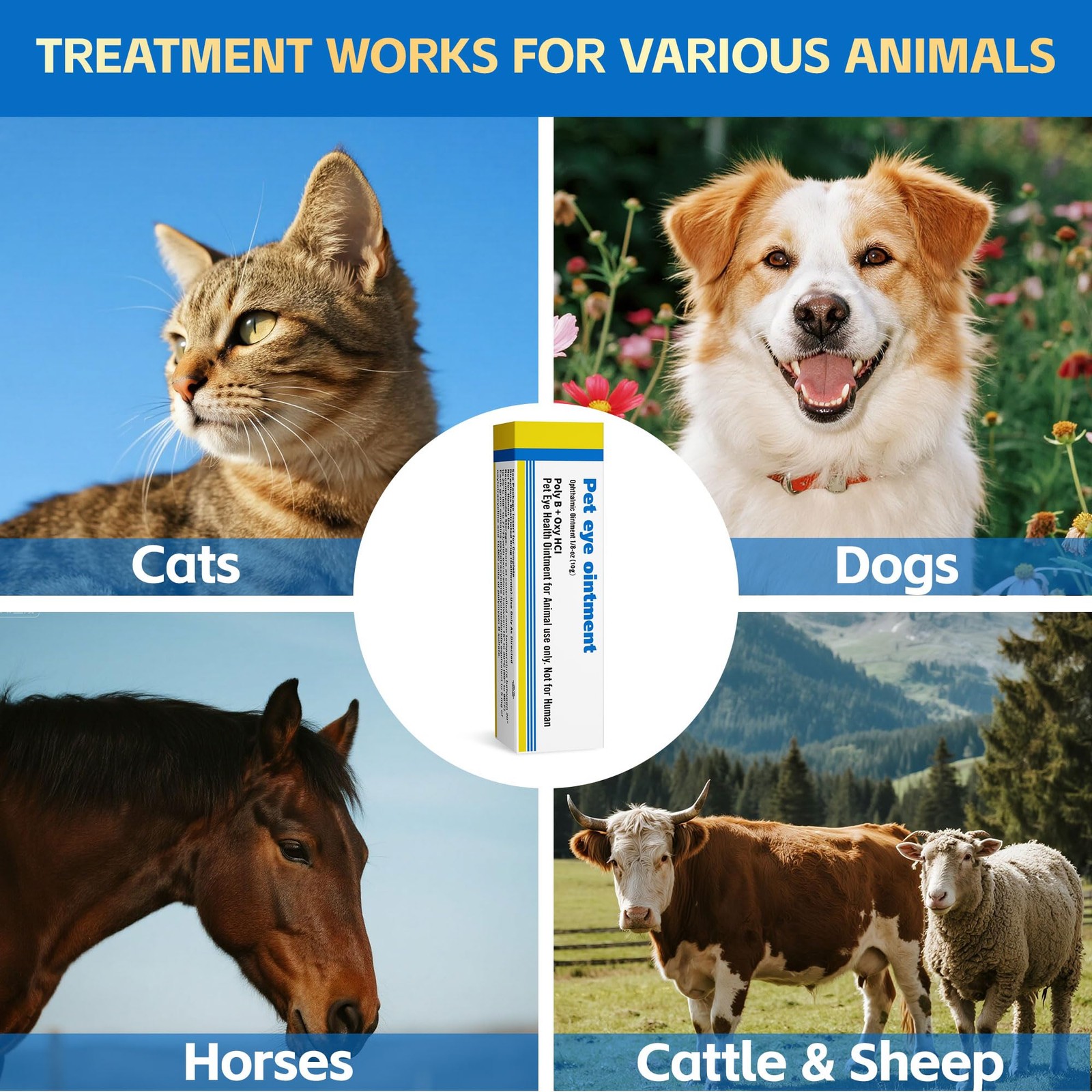 Pet Eye Health for Dogs, Cats, Cattle, Sheep, Horses, Birds and Puppies, Kitt…