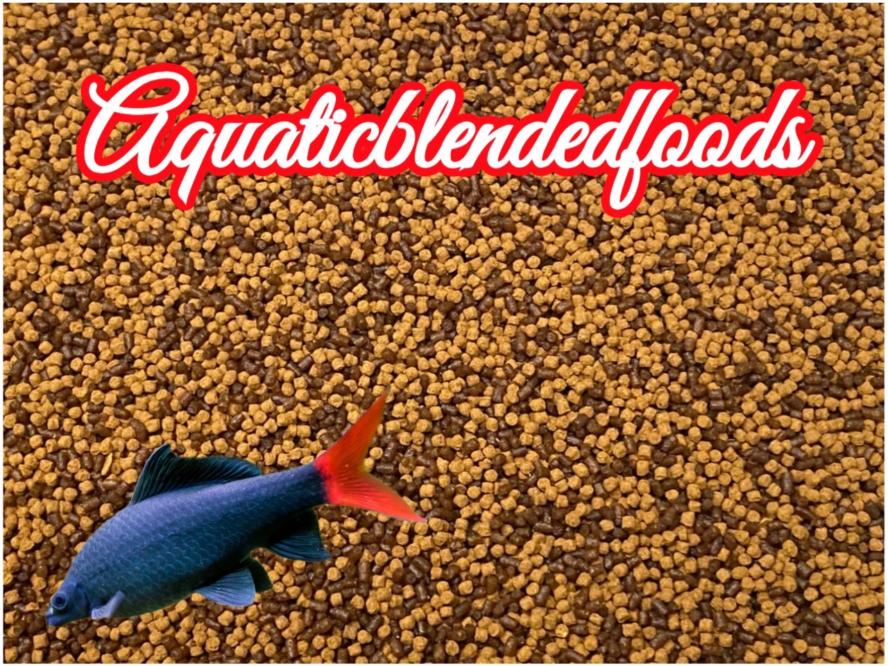 Small High Protein 1.5mm Sinking Pellet Fish Food Mix Spirulina Garlic ABF447