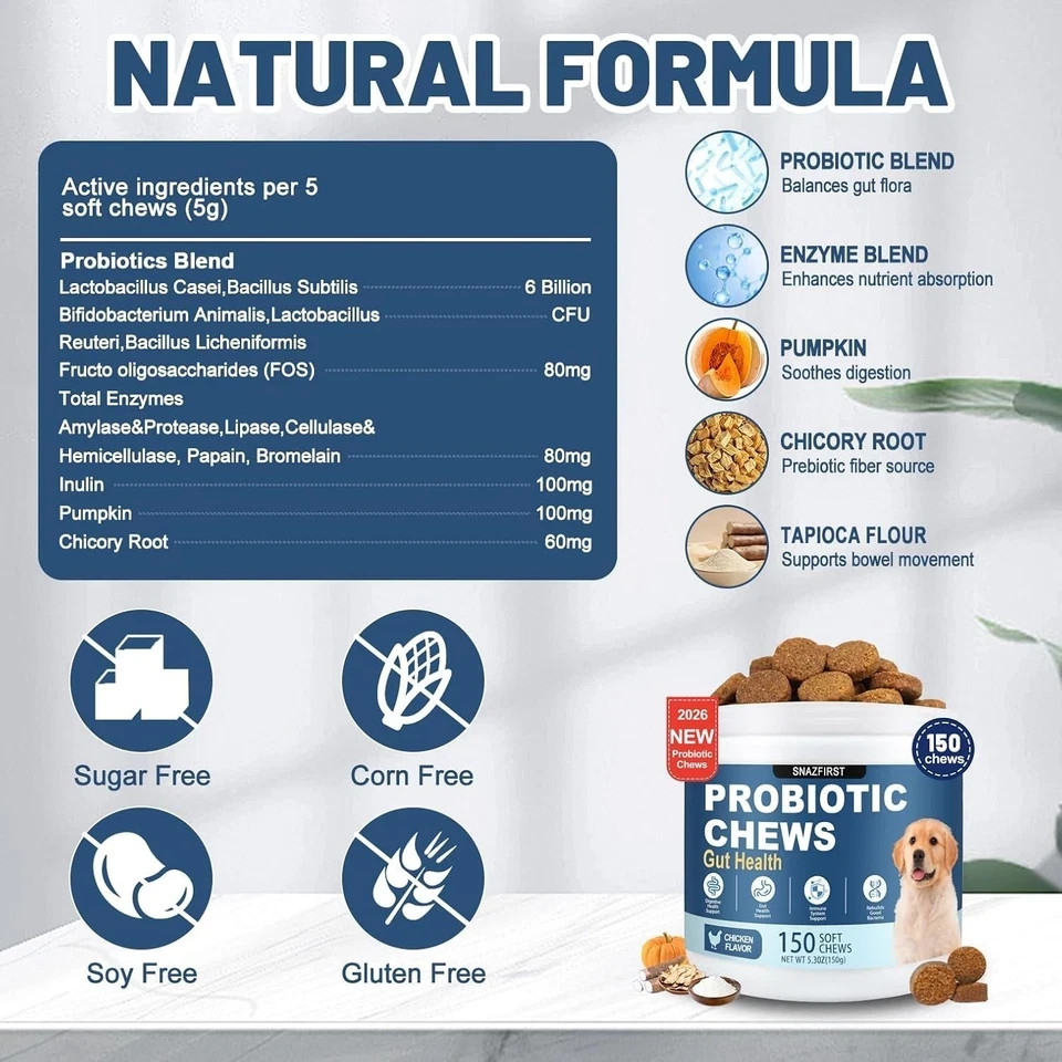 Probiotics for Dogs, Dog Probiotics Chews for Digestive Health & Gut Health, …