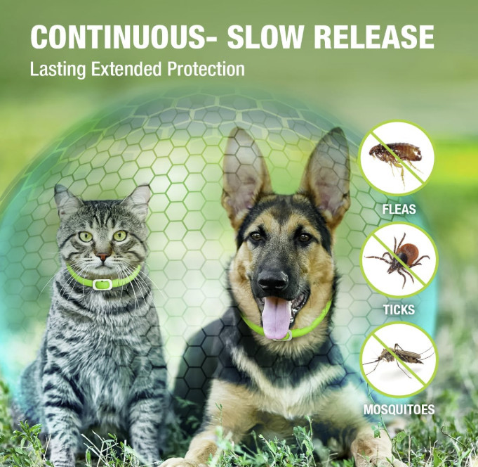 2-Pack Dog Flea & Tick Collar Waterproof 6 Months Protection