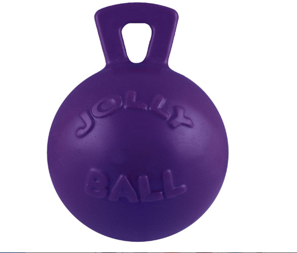 Tug-N-Toss Heavy Duty Dog Toy Ball with Handle, 8 Inches/Large,