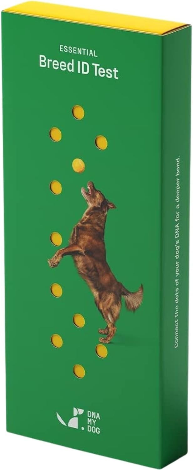 DNA MY DOG – Trusted & Affordable Breed Identification Test