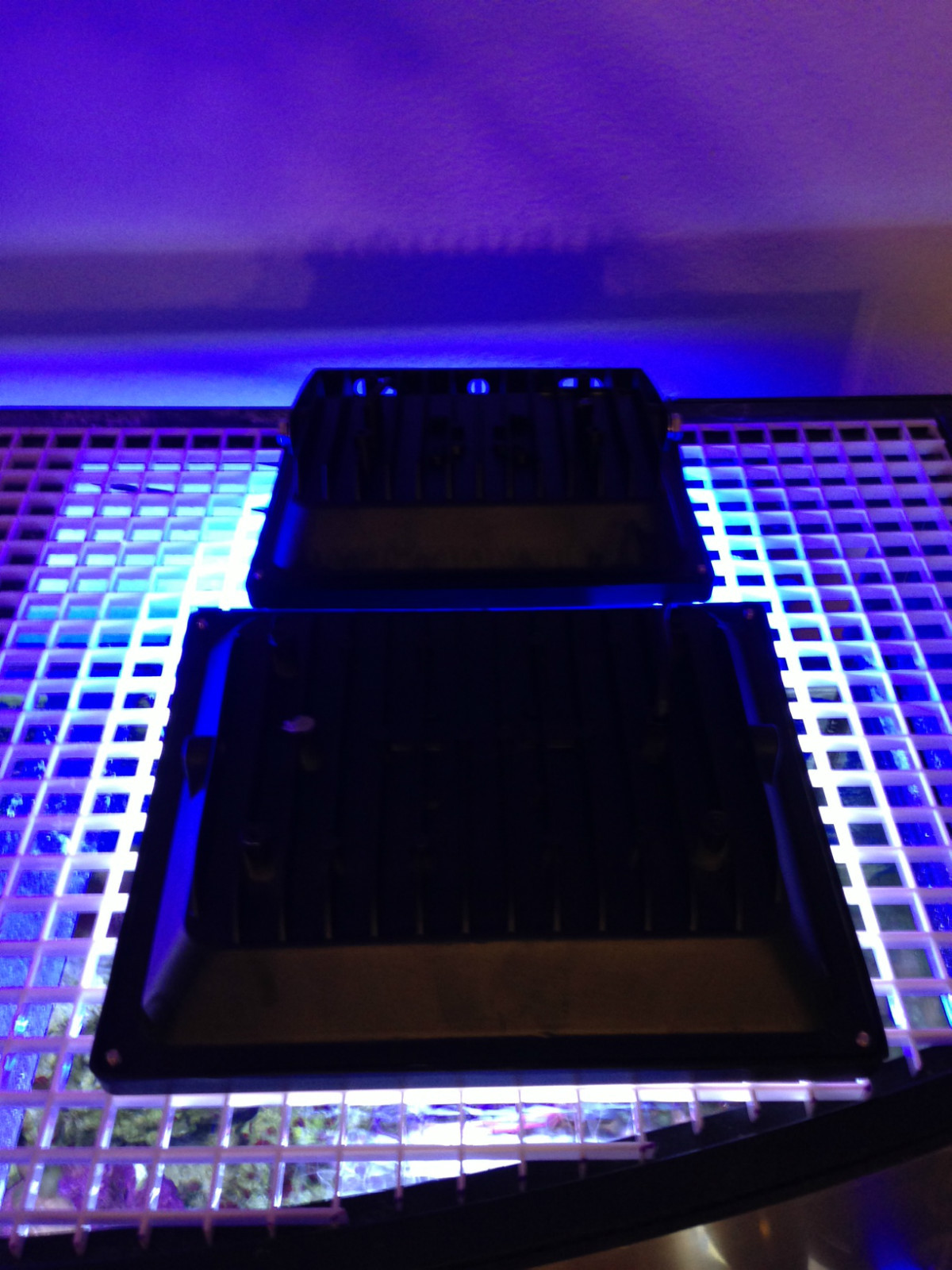 Aquarium LED Reef Light 30W 445nm Actinic Blue (Metal Halide alt. Lamp) MH Coral