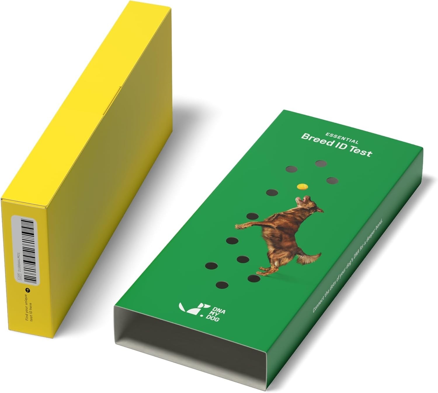 DNA MY DOG – Trusted & Affordable Breed Identification Test