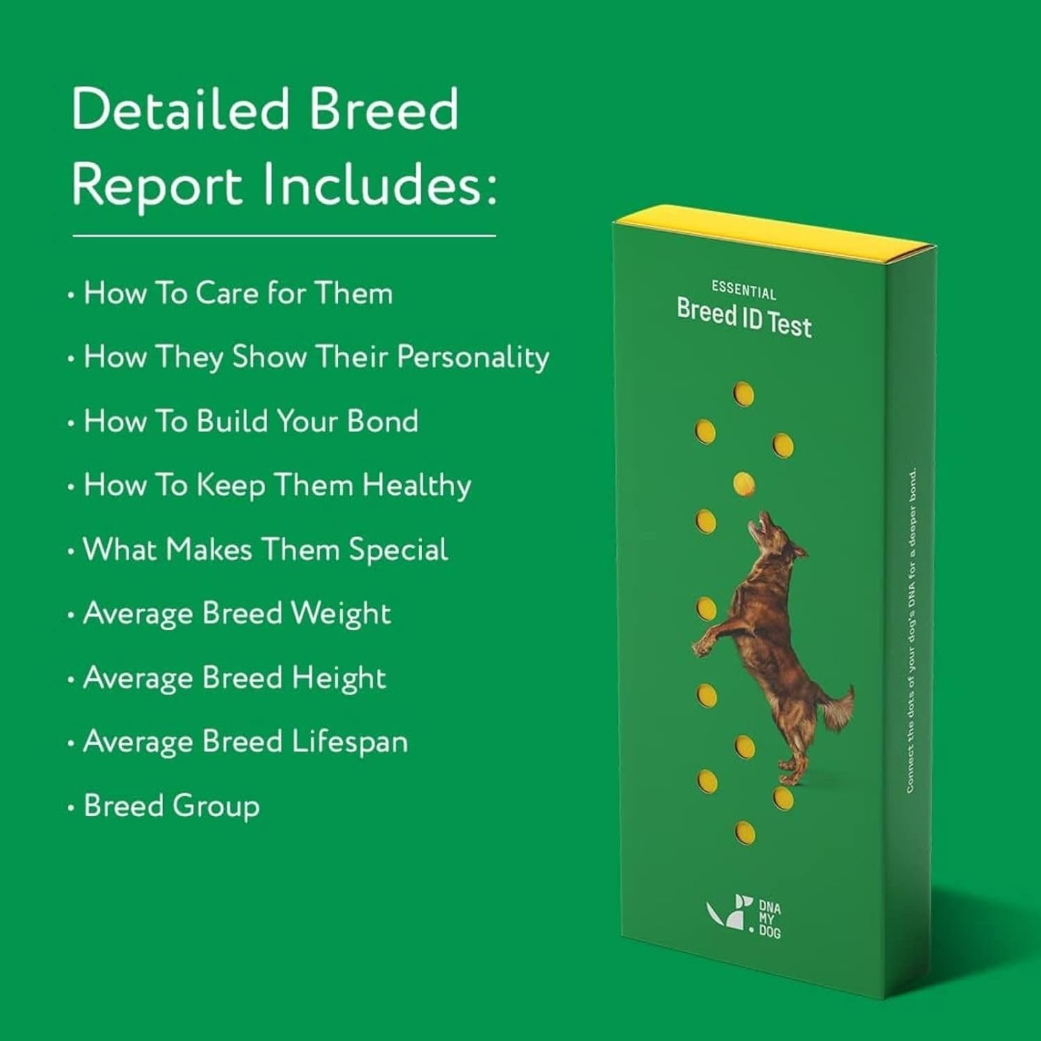 DNA MY DOG – Trusted & Affordable Breed Identification Test