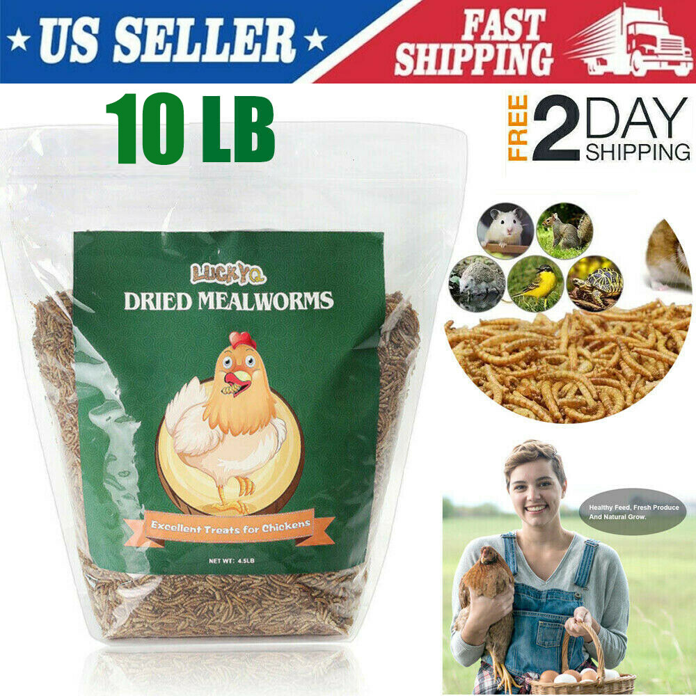 LUCKYQ Organic Dried Mealworms For Chicken Treats Duck Feed Organic Meal Worms