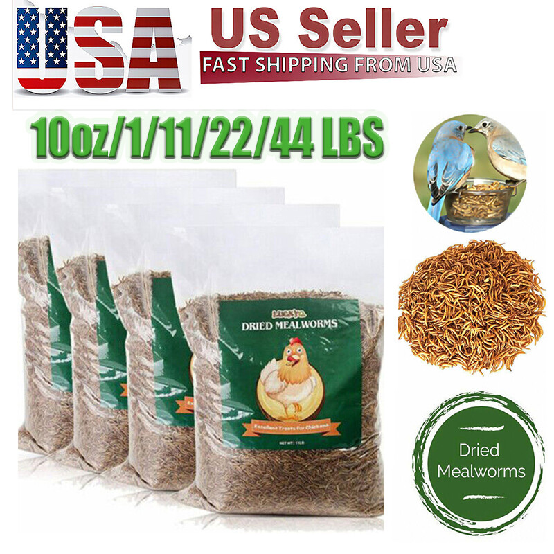Bulk Dried Mealworms for Wild Blue Birds Hen Reptile Treats Non-GMO LOT