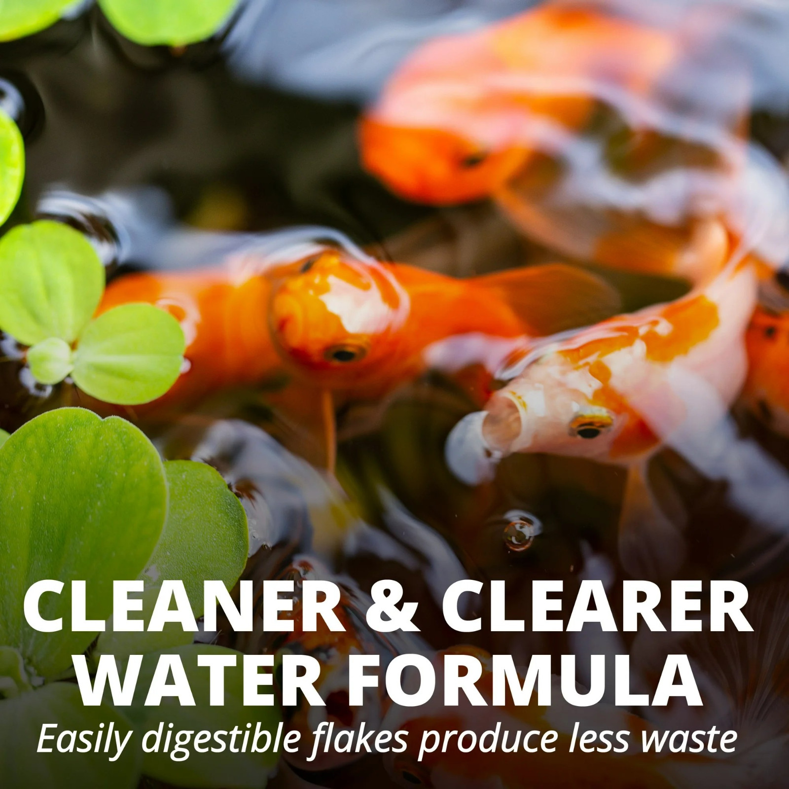 Pond Flakes Fish Food Complete Nutrition Small Goldfish Koi Cleaner Water 2.2lb