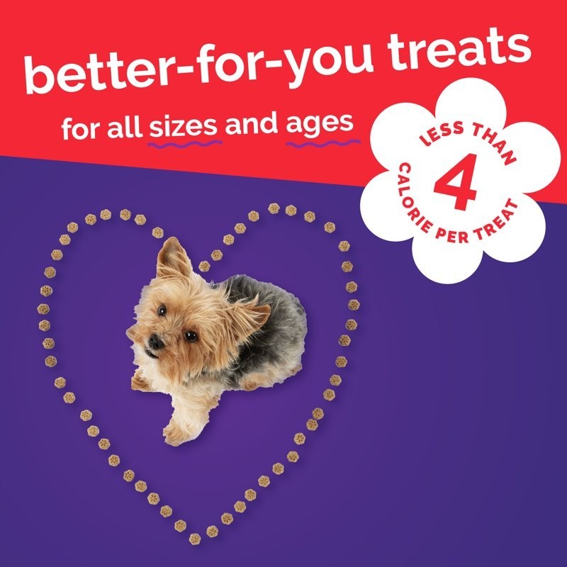 Fruitables Skinny Mini Dog Treats Apple Bacon Flavor, 5 oz..