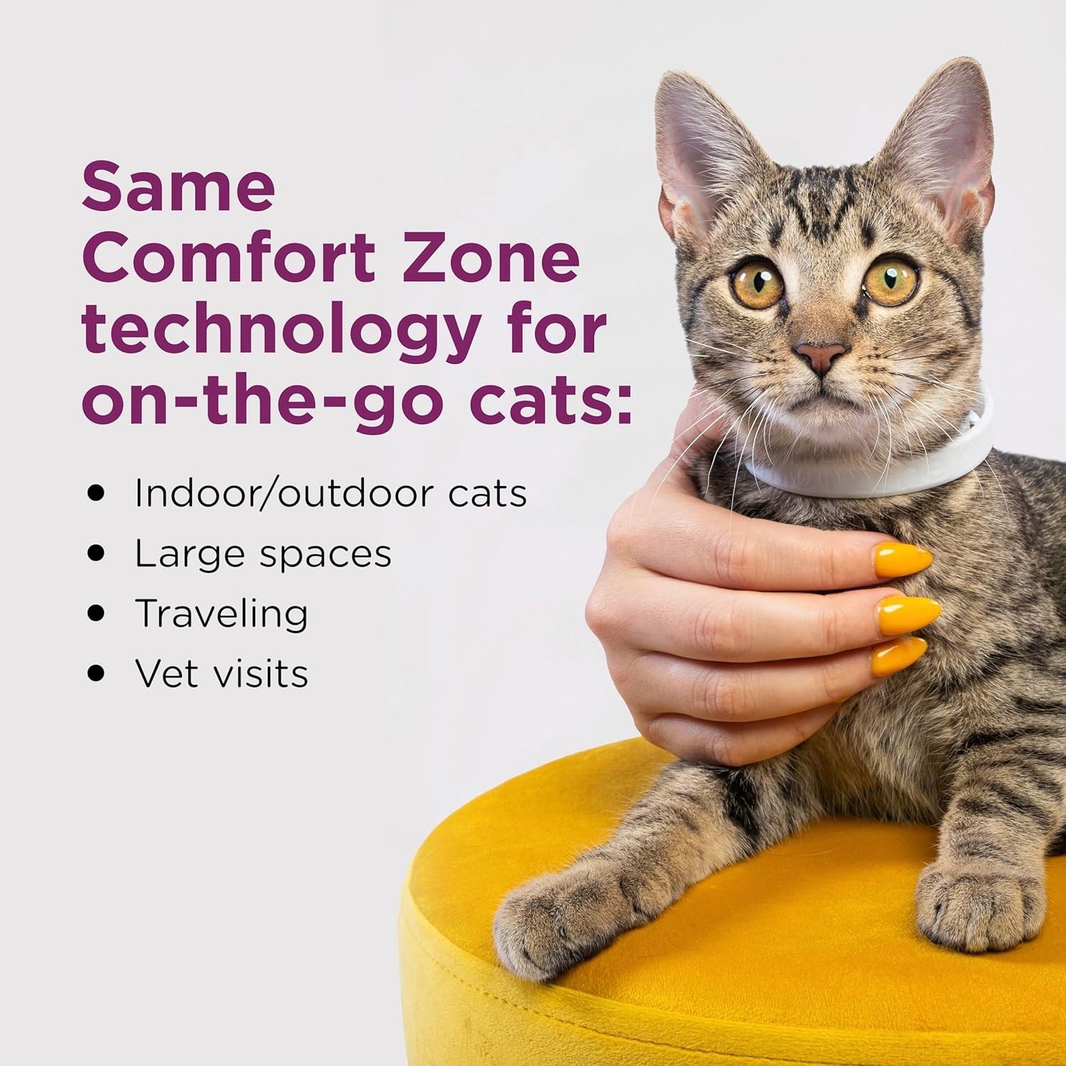 Cat Calming Collar 4-Pack: 120 Days of Calm