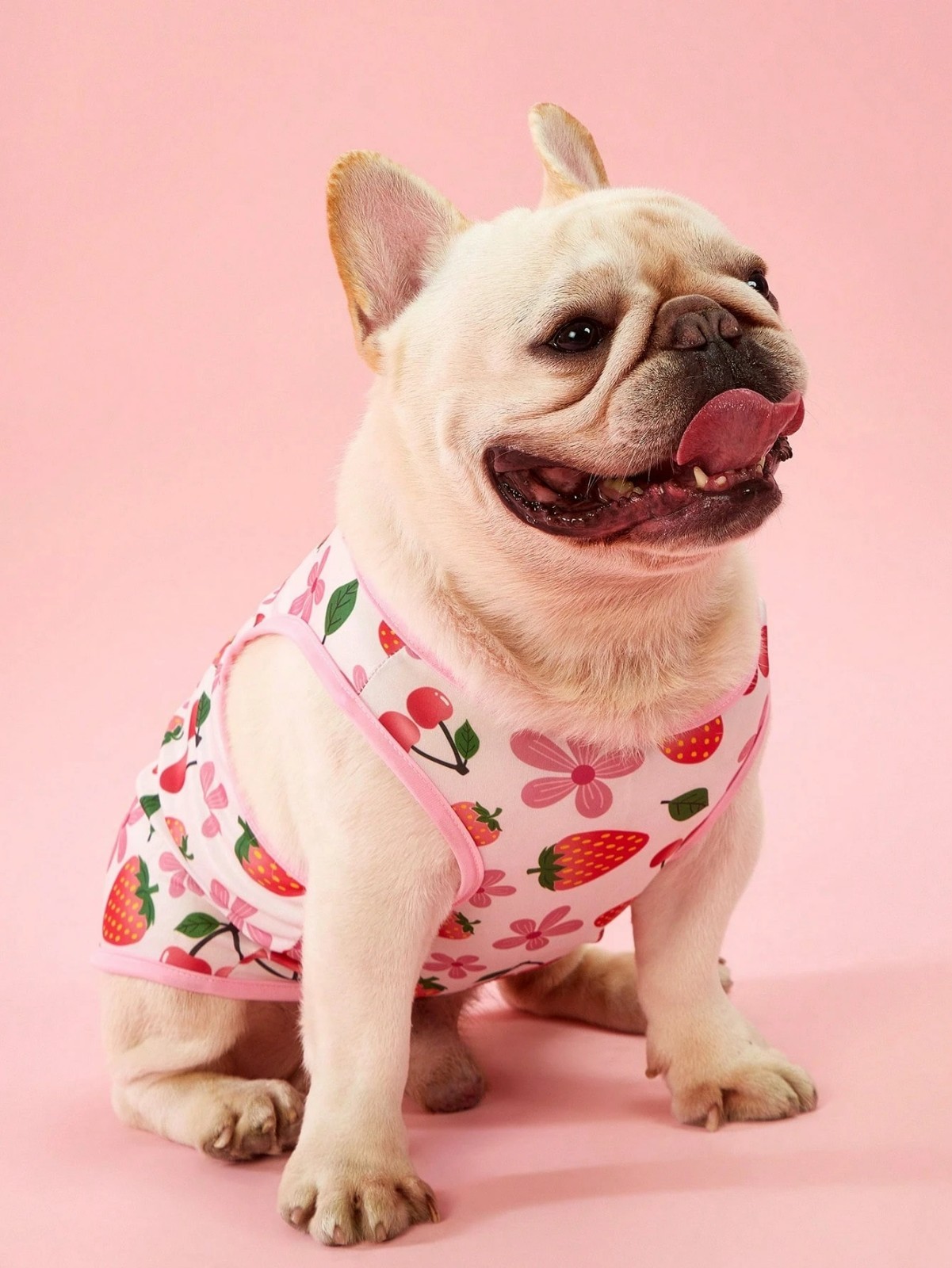 2PCS Small Pet Dog Cat Summer Shirts Vest Clothes Cute Puppy TShirt Coat Apparel