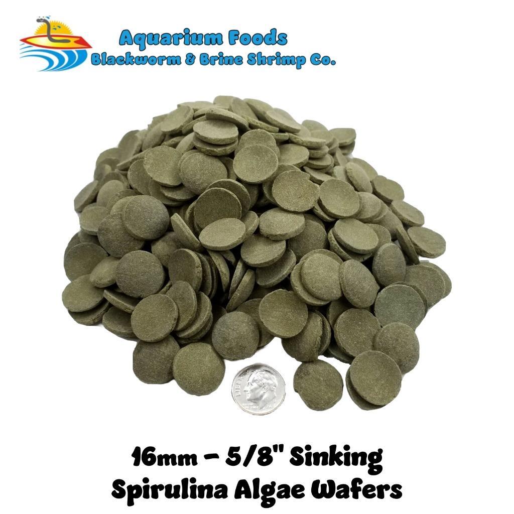 16mm-5/8″ MED/LG Spirulina, Algae & Veggie Sinking Wafers, All Tropical Fish
