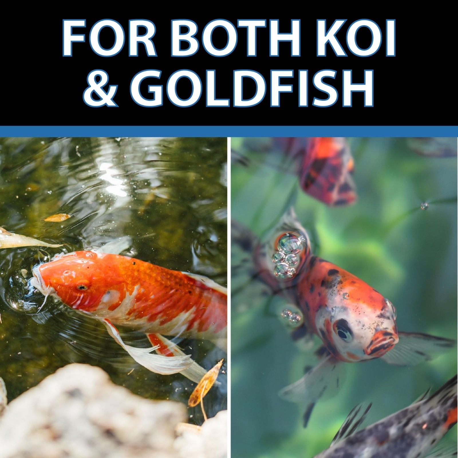 CrystalClear Staple Pond Fish Food for Healthy Koi & Goldfish, Protein Packed Fl