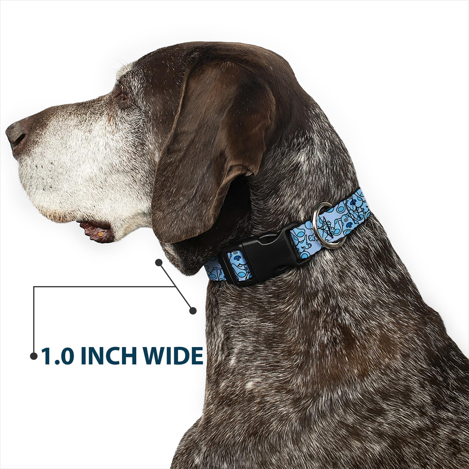 Dog Collar Blues Clues Poses Fits 1524 Inch Neck 1.0 Inch Wide Plastic Clip