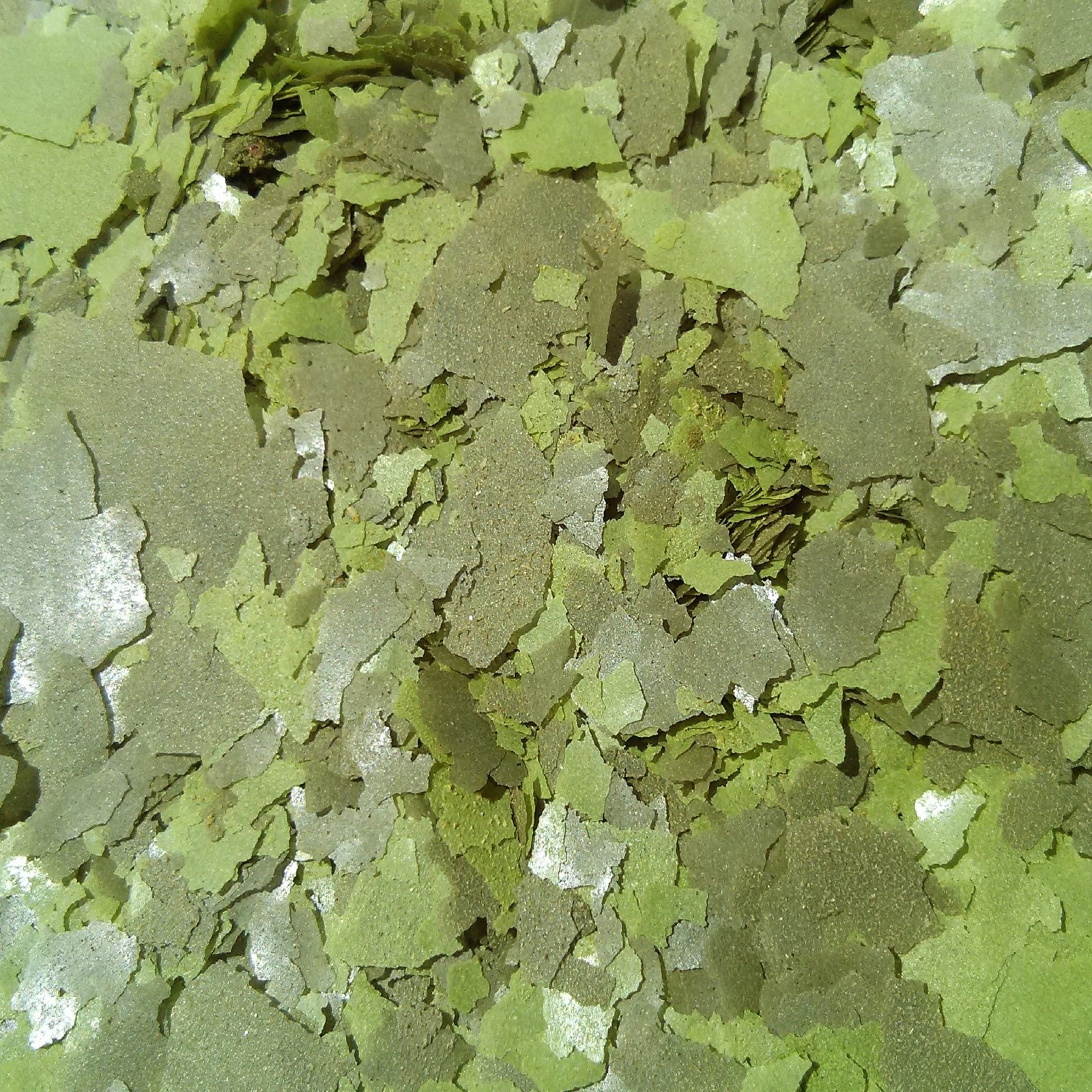 Vegetable-Spirulina Plus Tropical Fish Flakes, FREE Pellets & Wafers Included.