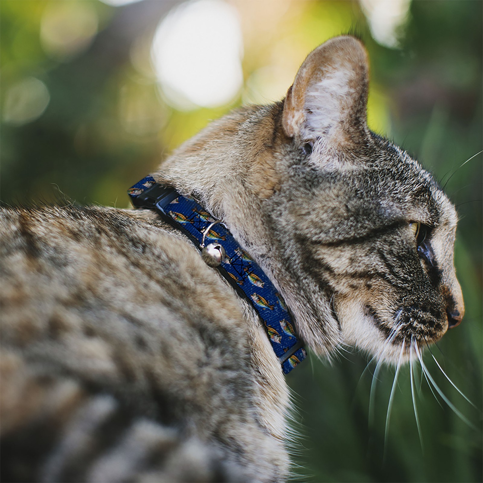 Cat Collar Breakaway with Bell Bass Fish/Water Bubbles NARROW Fits 8.5-12″