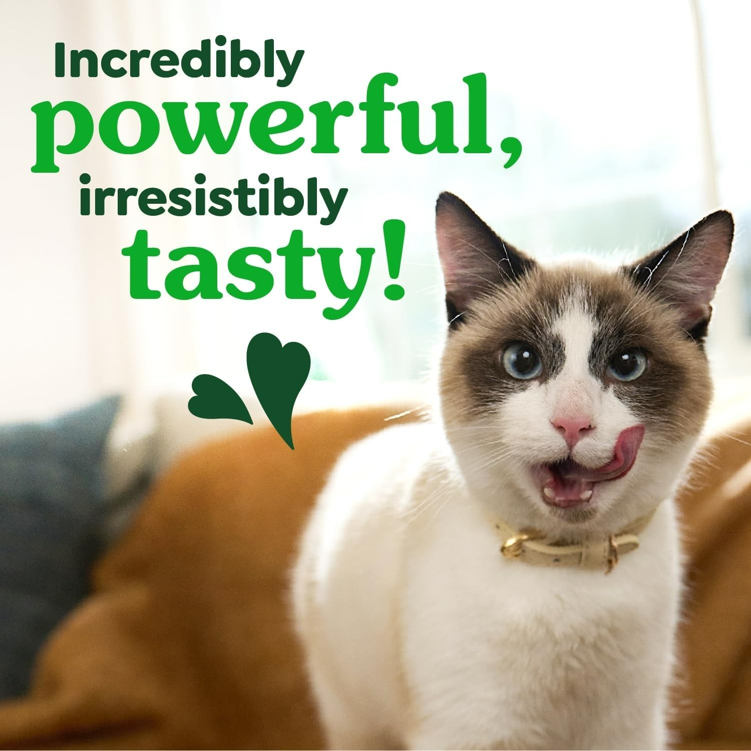 Feline Veterinarian-Recommended Adult Natural Dental Cat Treats, Oven Roasted…
