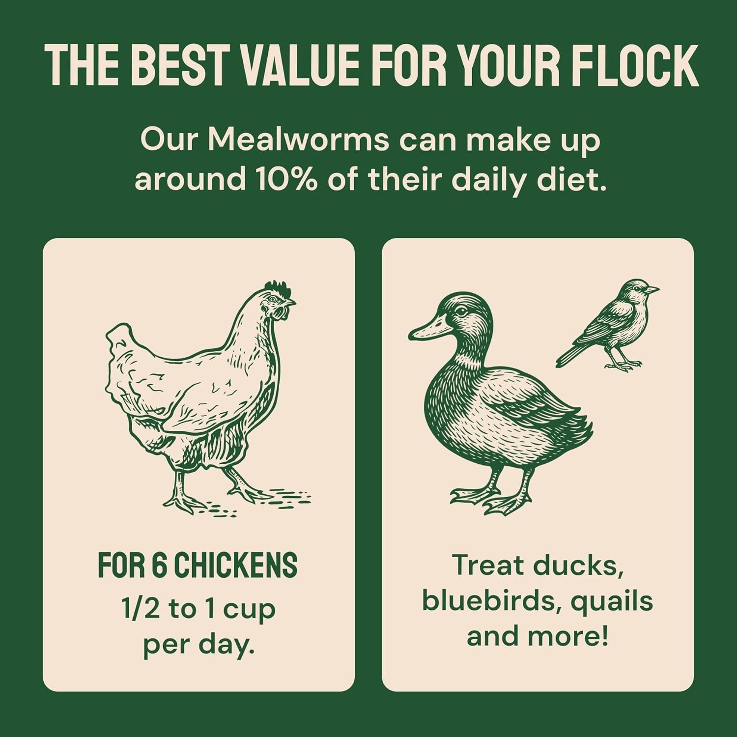High-Quality Dried Mealworms for Chickens & Wild Birds – 10 Lb Organic & Non-GMO