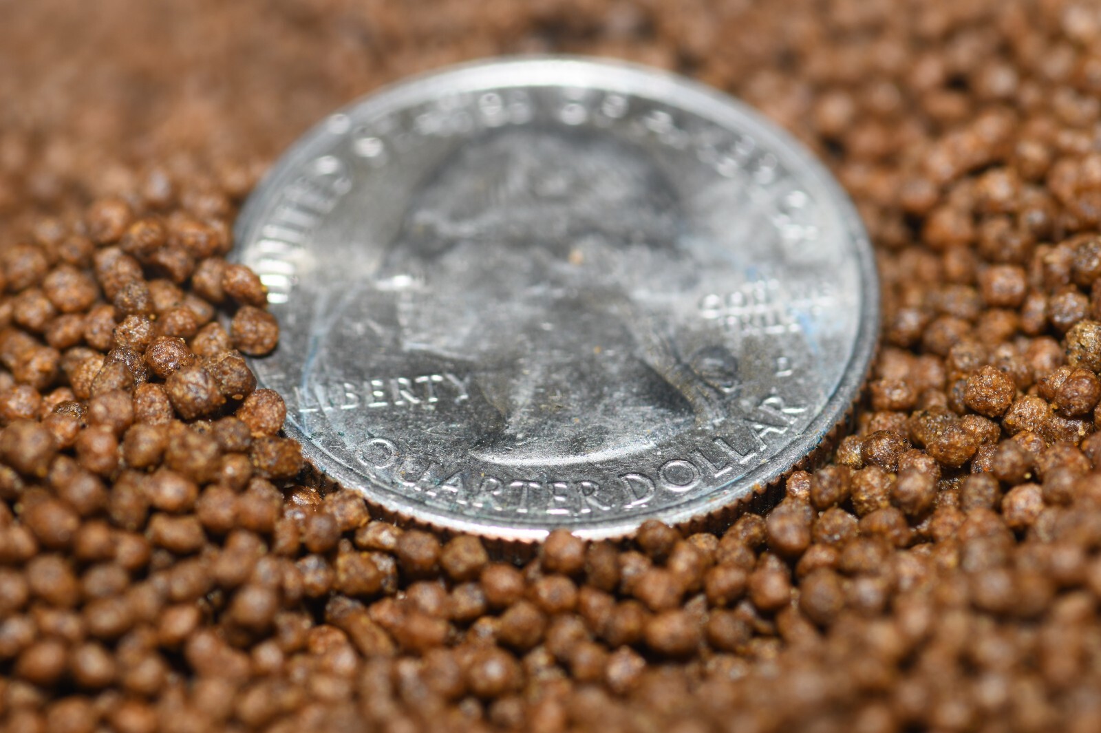 Tropical Fish Food for Color Enhancement with Spirulina & Marigold 1.5mm Granule