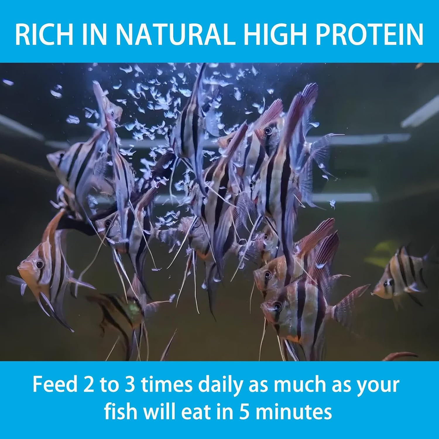 Brine Shrimp Fish Food, Ready to Use Aquarium Fish Food, Non-Living Instant Food