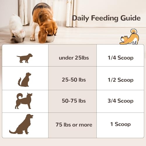 Turkey Tail Mushroom Supplement Dogs Cats 60g