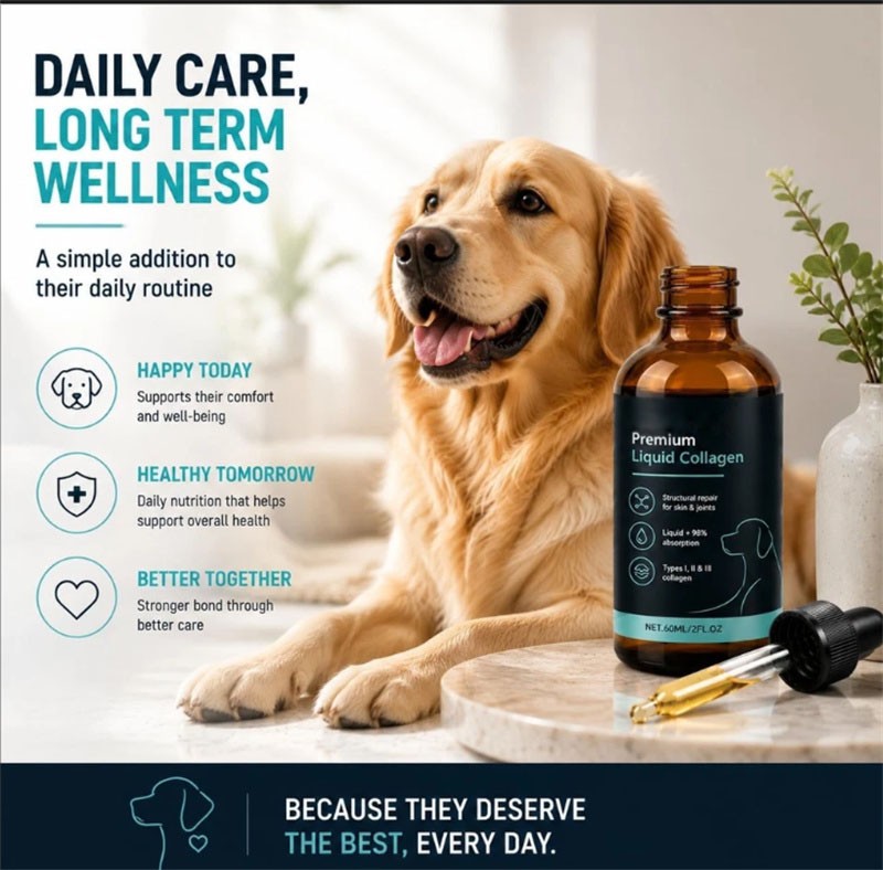 Healthy Petz Premium Liquid Collagen For Dogs, Supplement With Collagen, 60ml