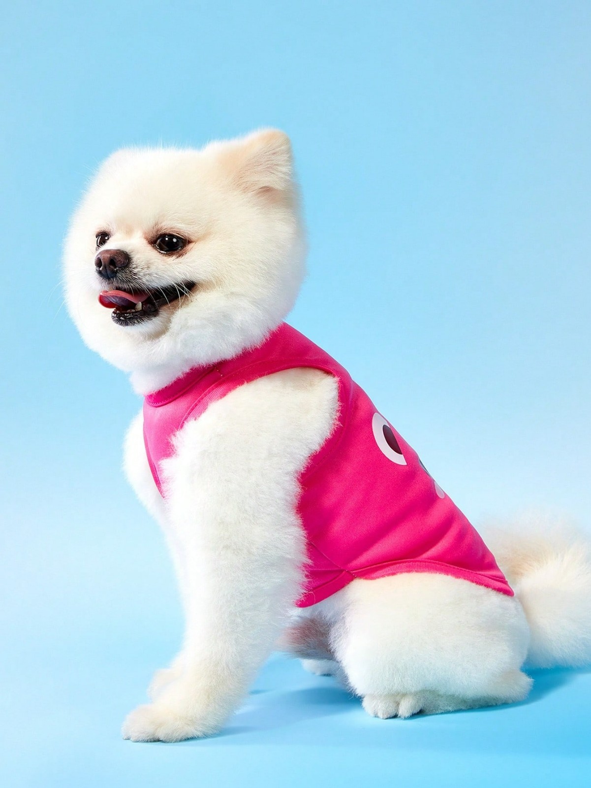 2PCS Small Pet Dog Cat Summer Shirts Vest Clothes Cute Puppy TShirt Coat Apparel