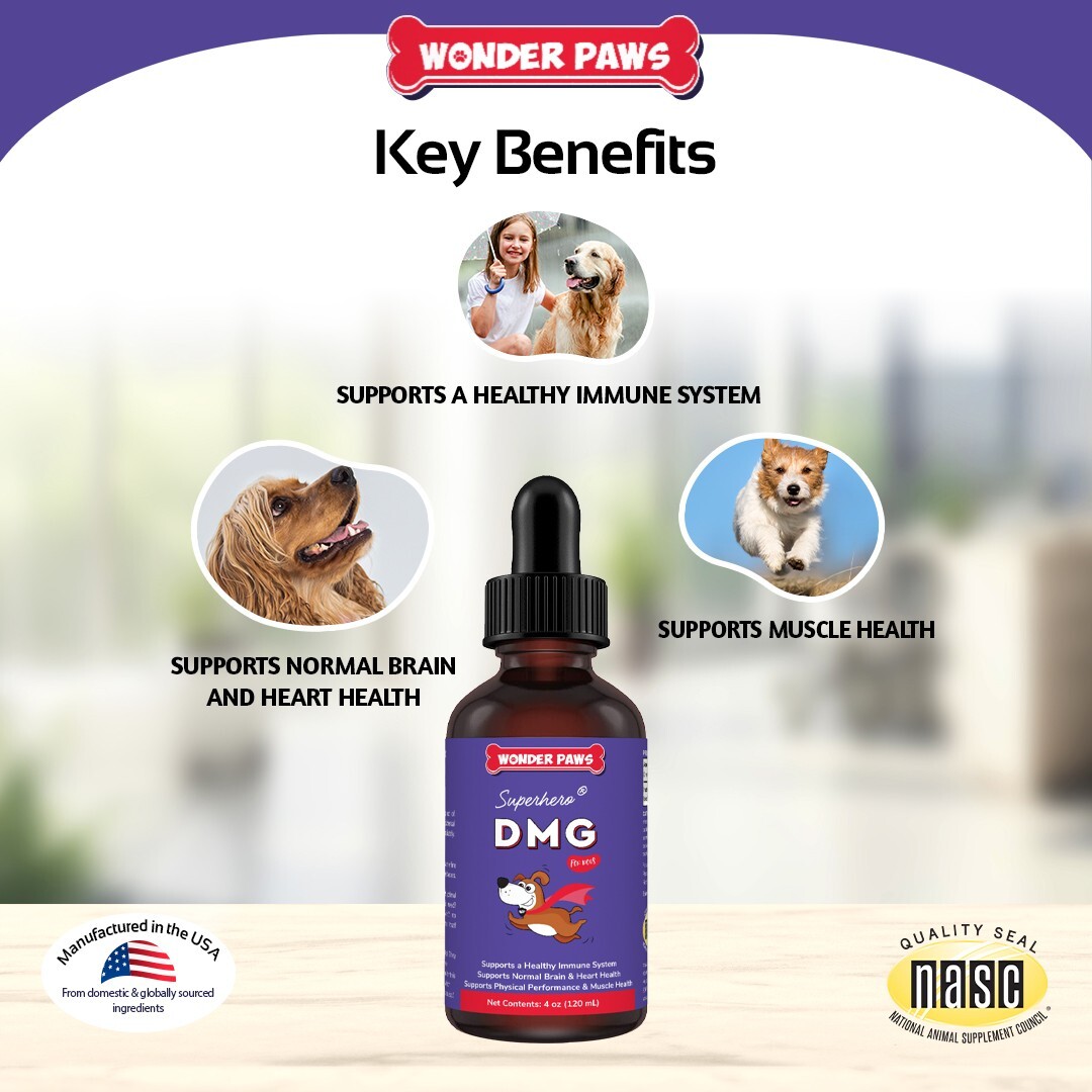 Premium DMG for Dogs – Dimethylglycine (DMG) for All Ages, Sizes & Breeds – 4oz