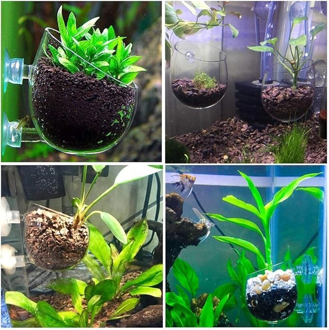 2X Macetas de cristal para plantas acuáticas, jardinera, pecera con plantas,