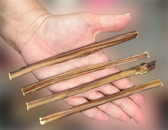 25 pcs 5 to 6 inch SOLID Beef Bully STICKS Chews Dog Treat FRESH Natural THIN