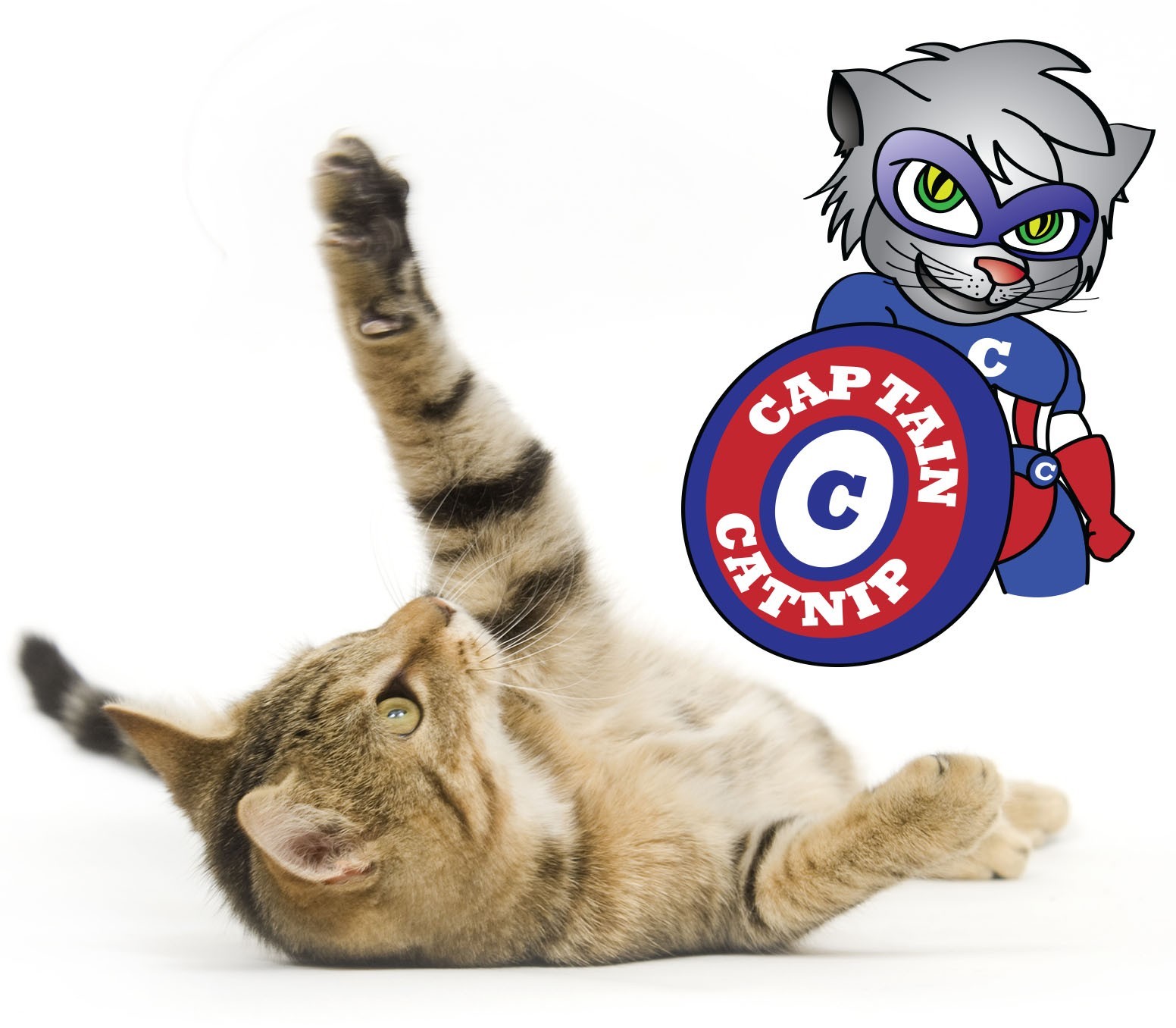 Captain Catnip Organic Cat Nip filled Cigar Toy Cats Love it Potent