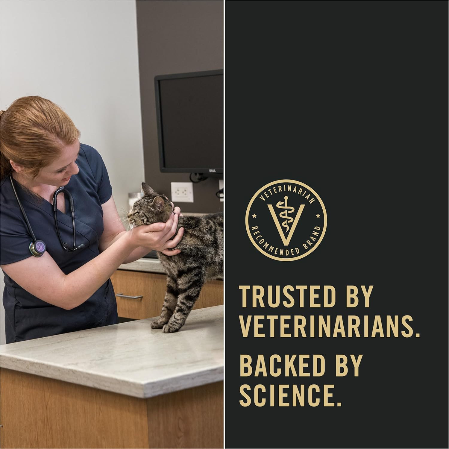 Purina Pro Plan Allergen Reducing, Sensitive Skin & Stomach, High Protein Cat